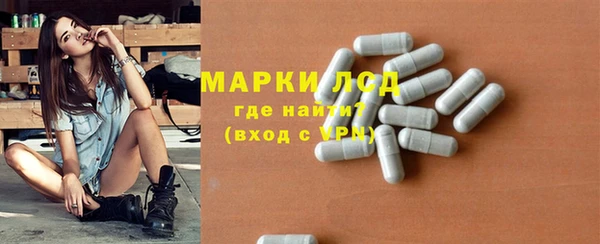 сатива Няндома