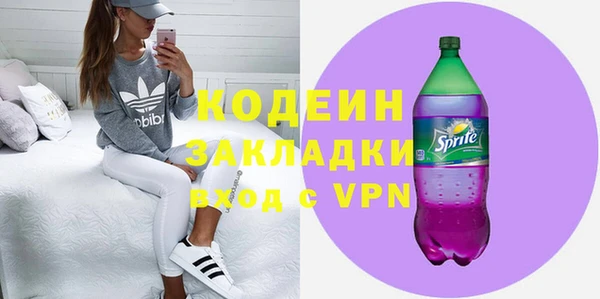 сатива Няндома
