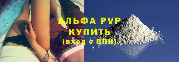 сатива Няндома
