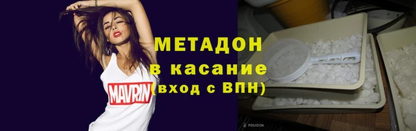 сатива Няндома