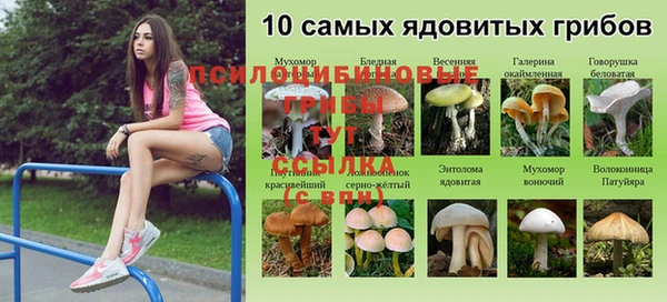 синтетический гашиш Нязепетровск