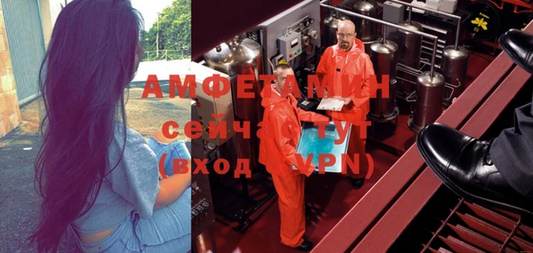 сатива Няндома