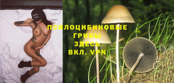 сатива Няндома