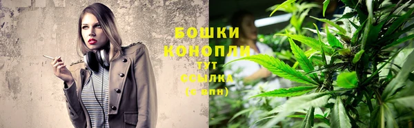 трава Аша