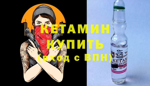 сатива Няндома