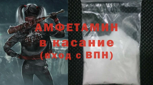 сатива Няндома