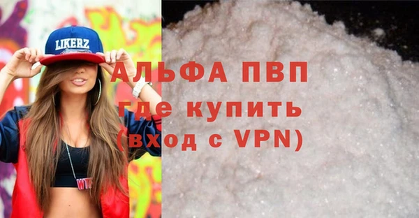 сатива Няндома